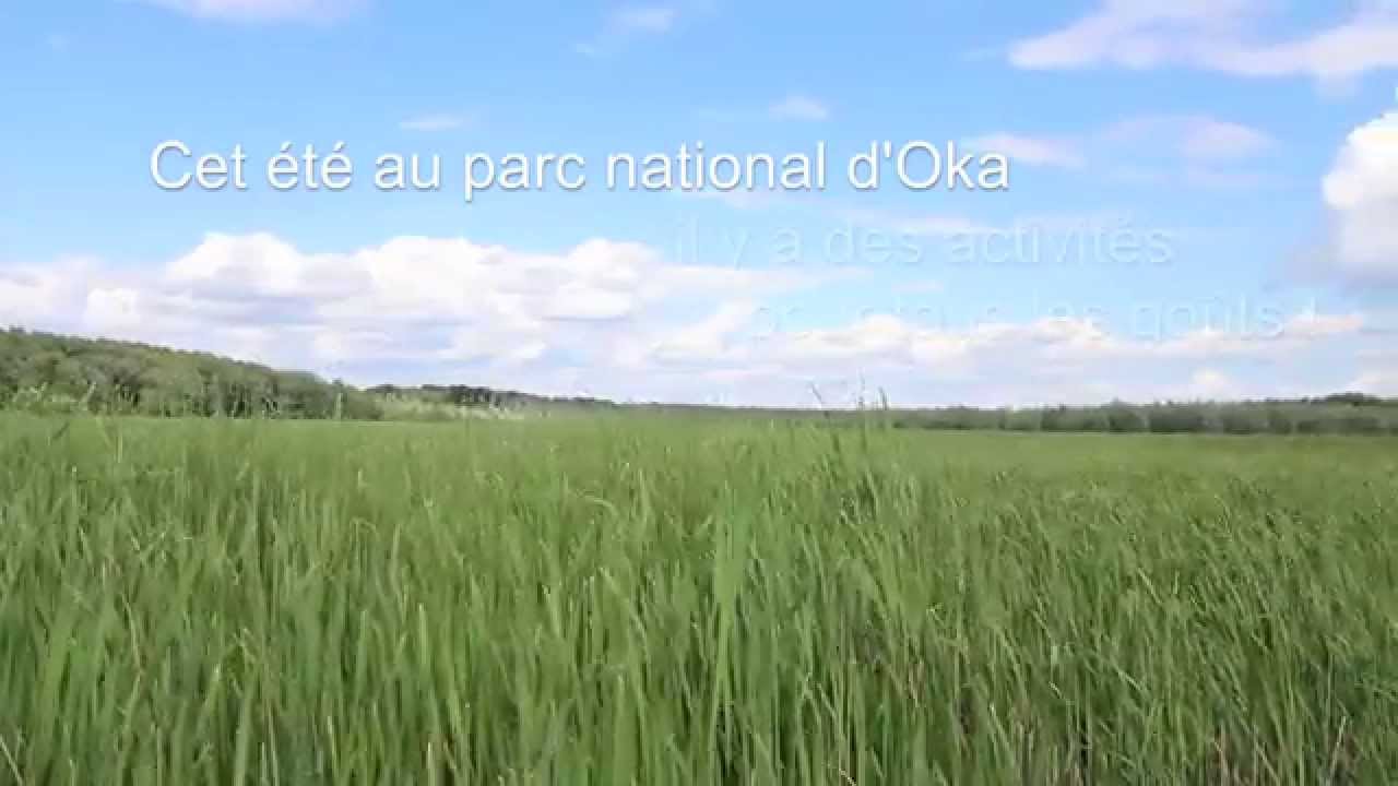 Profils des activit&eacute;s estivales