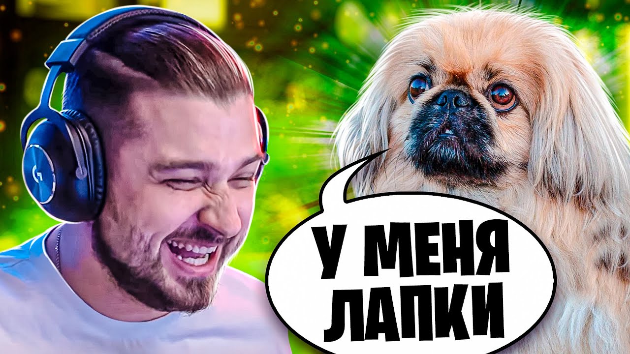 HARD PLAY СМОТРИТ ТЕСТ НА ПСИХИКУ / РЕАКЦИЯ ХАРД ПЛЕЙ СМЕШНЫЕ ВИДЕО, ПРИКОЛЫ, ЮМОР, COUB