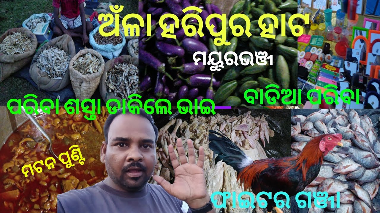 ଅଁଳା ହରିପୁର ହାଟ (ମୟୁରଭଞ୍ଜ)Anla Haripur Hata#utubevlog#odia#odisha#mayurbhanj#Dm Vlogs 82 