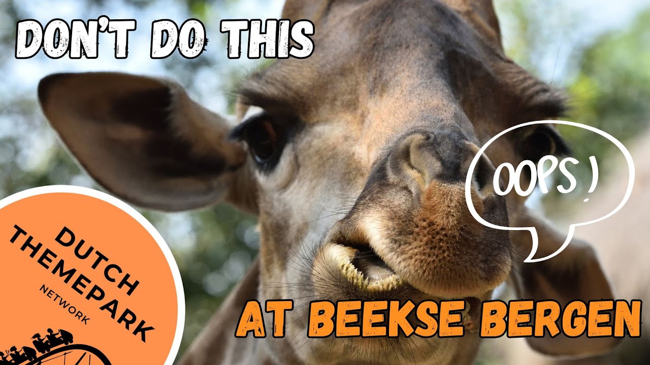 Beekse Bergen: 15 Rookie Mistakes to Avoid
