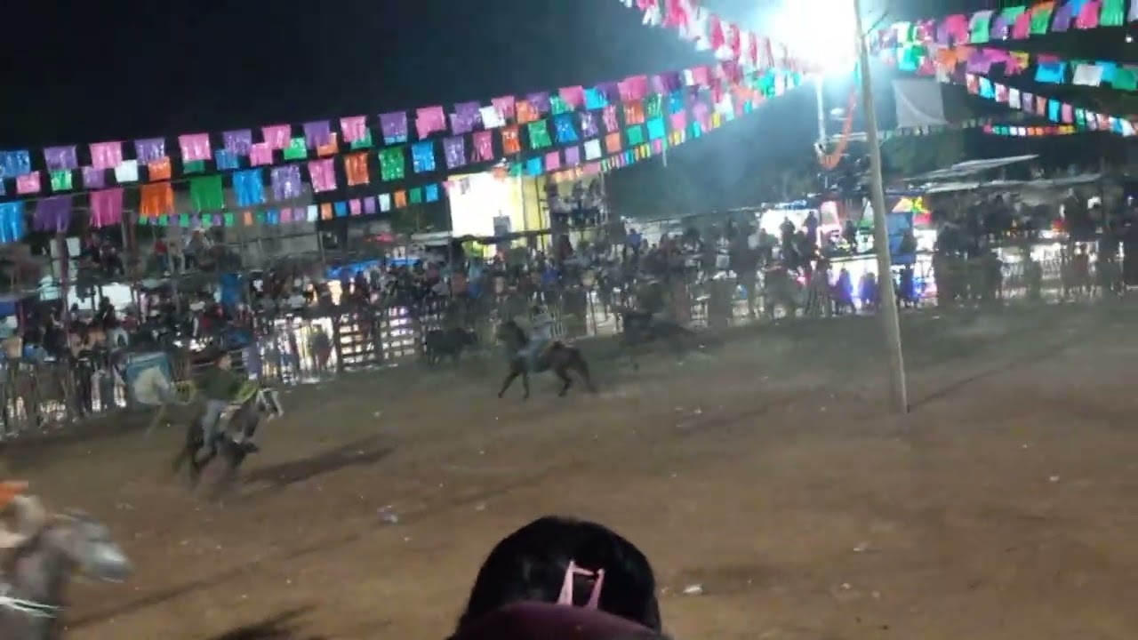Vaquero cae de su caballo ,fiesta tradicional 28 dic 2025 xcanchakan