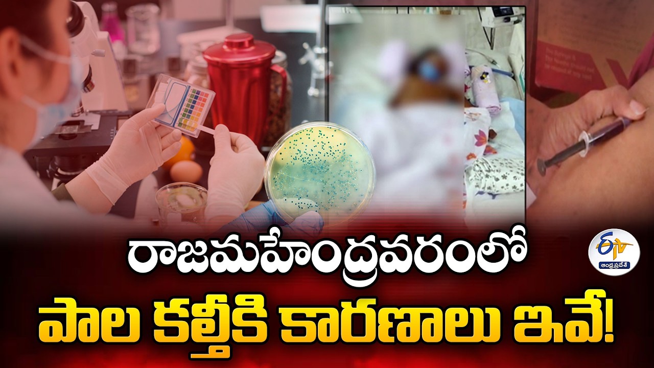 These are the Reasons For Milk Adulteration in Rajahmundry!