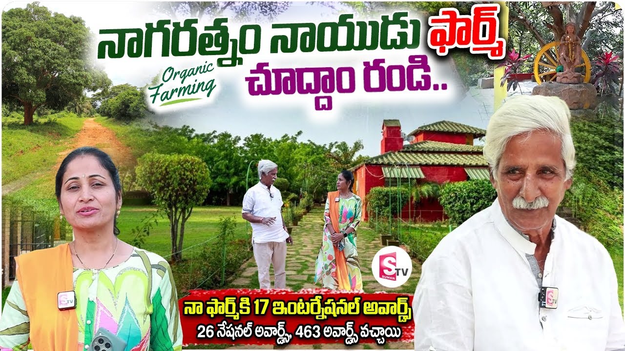నాగరత్నం నాయుడు ఫార్మ్ | Organic Farmer Naga Ratnam Naidu Farm Tour | Anchor Nirupama | Telugu Vlogs