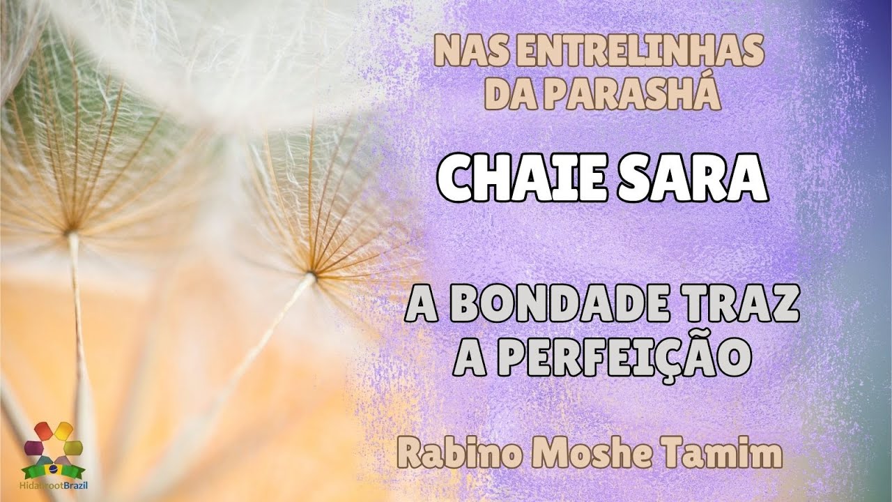 Nas entrelinhas de Chaie Sara - A bondade traz a perfeição - R Moshe Tamim - Hidabroot Brasil 2024