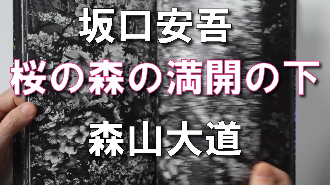 町口覚・それぞれの「桜」