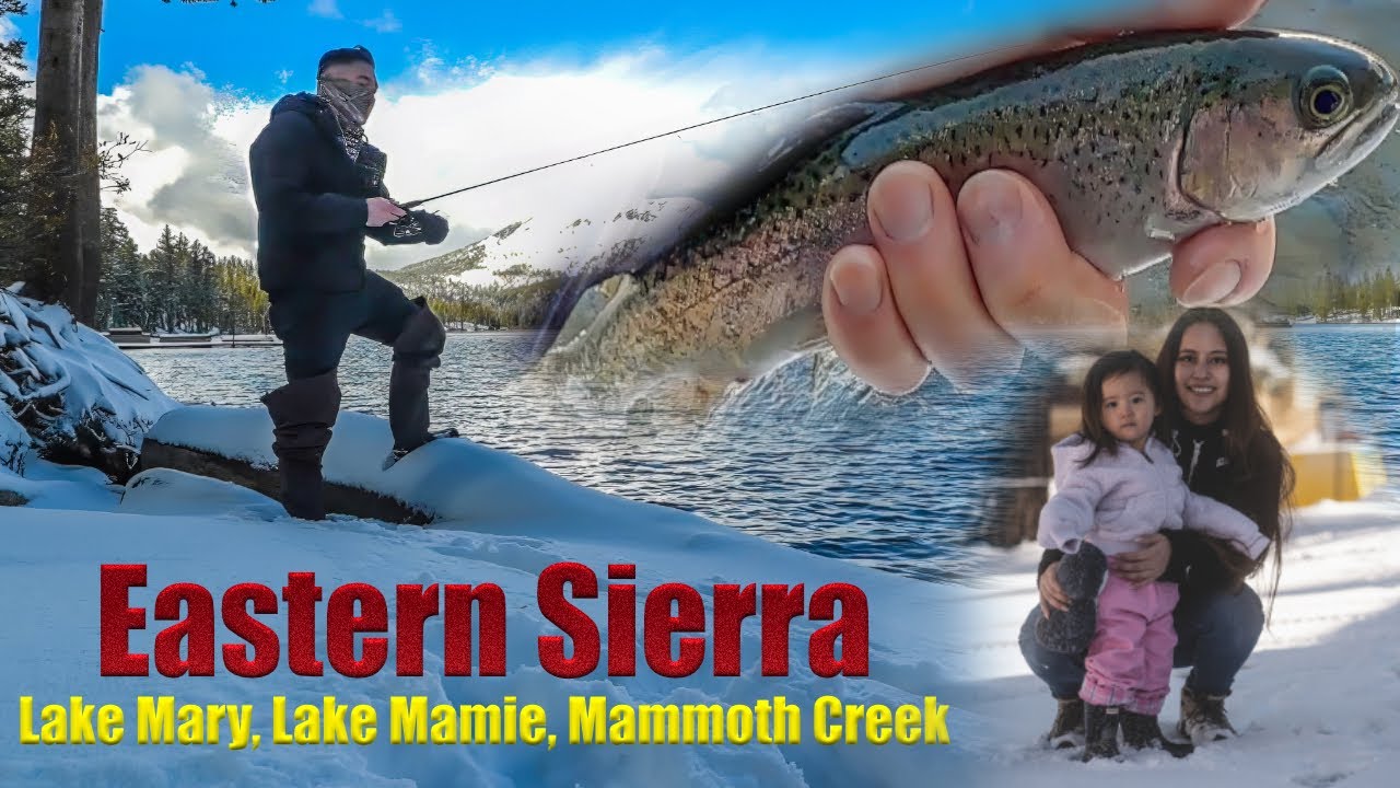 Snowy Trout Fishing in Mammoth Lakes | Lake Mary | Eastern Sierra Fishing