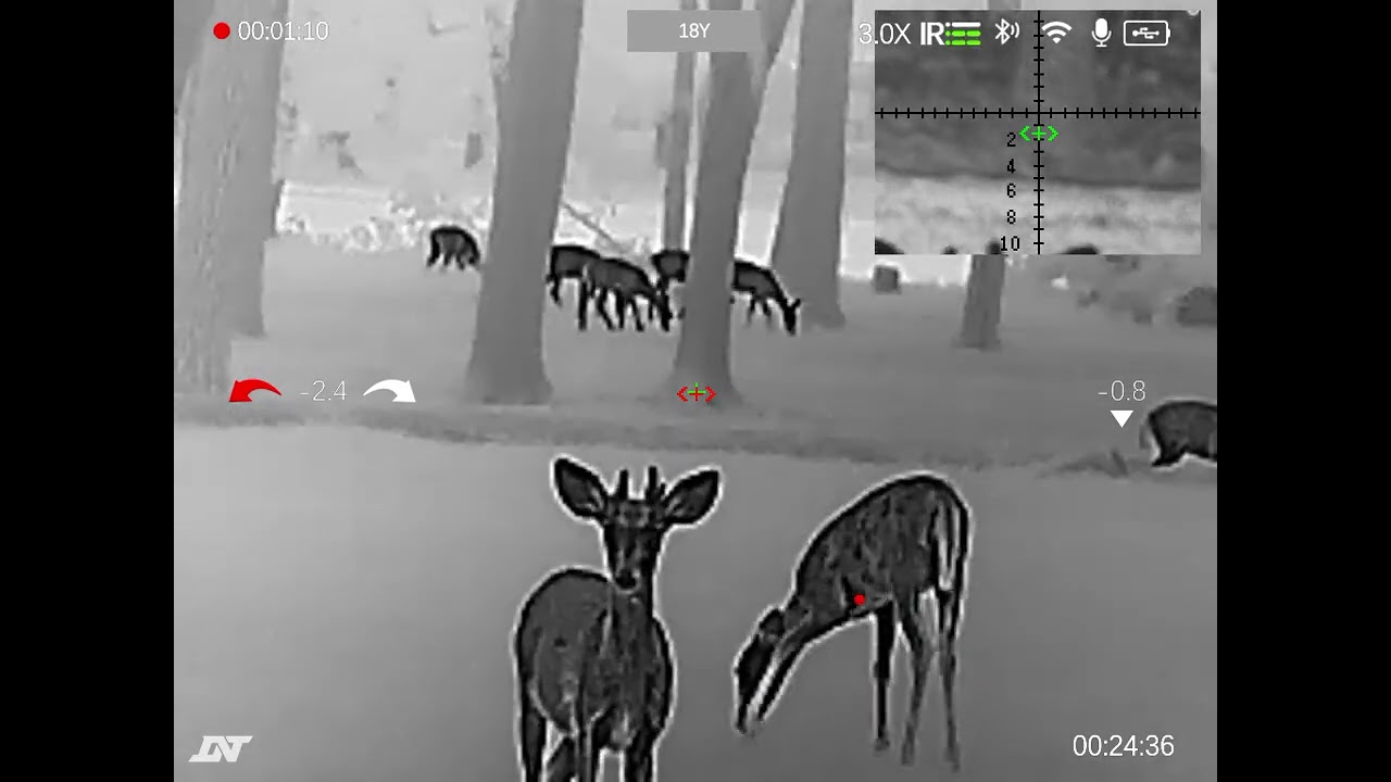 DNT ThermNight - TNC225R - Observing Deer  1 - Arken Zulus Digital Night Vision Scope meets Thermal