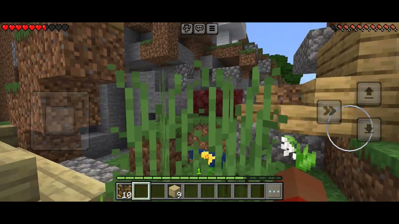 Minecraft фермер