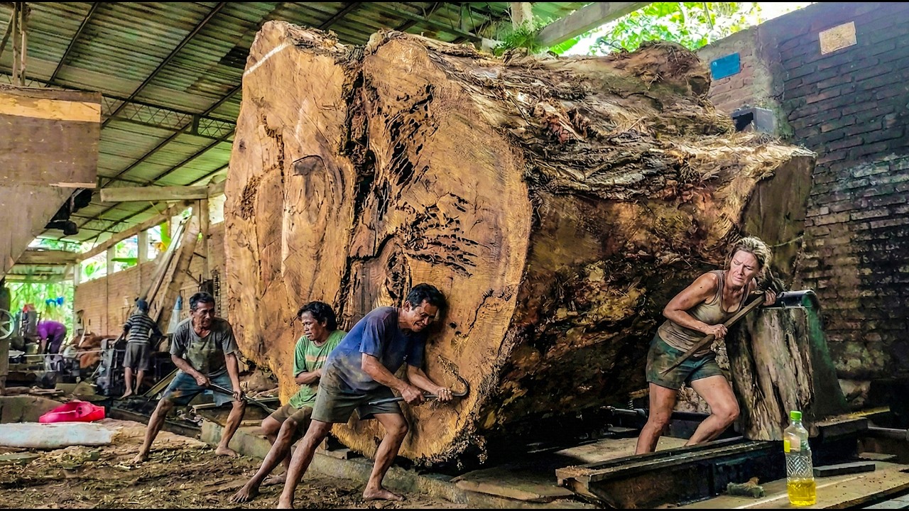 Unbelievable Sawmill Process Turning Tree Stump Into Perfect Slabs