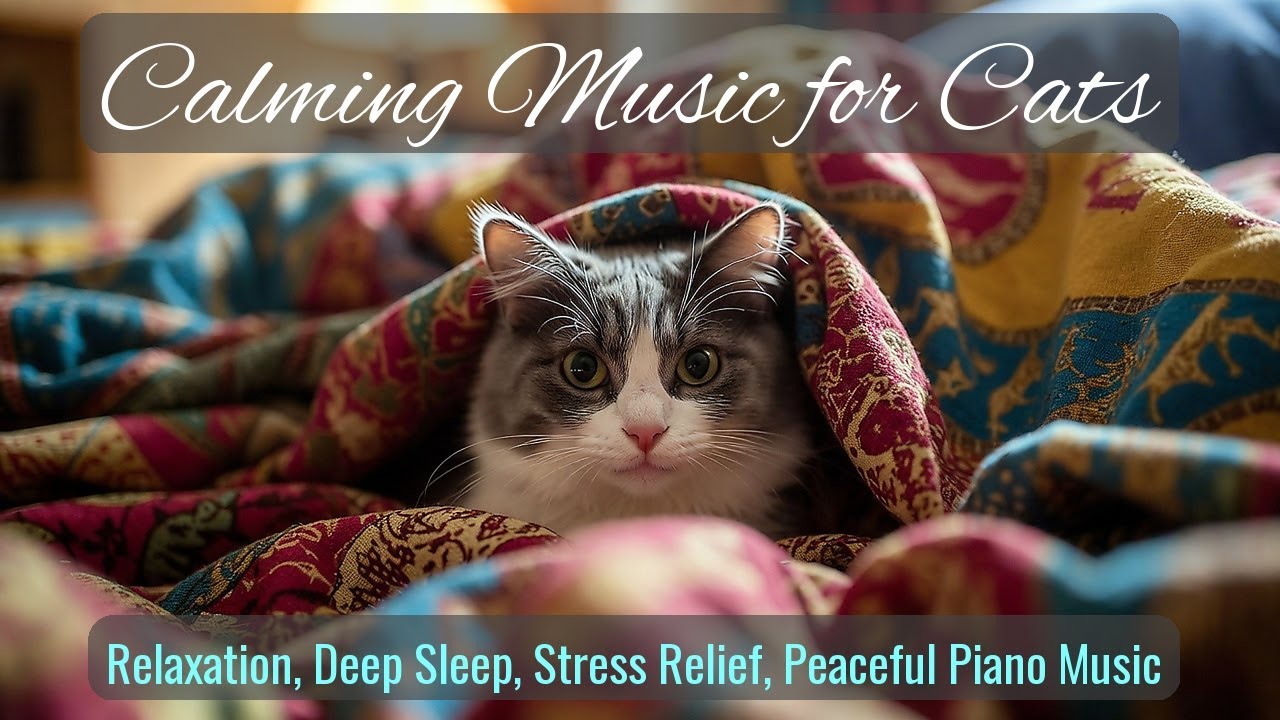 Calming Music for Cats - Relaxation, Deep Sleep, Stress Relief, Peaceful Piano Music | Season 51