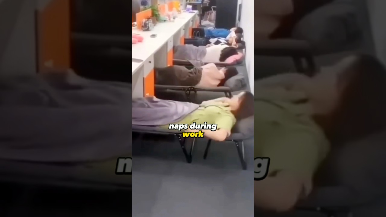 Japanese Workers Sleep In Office 🤯