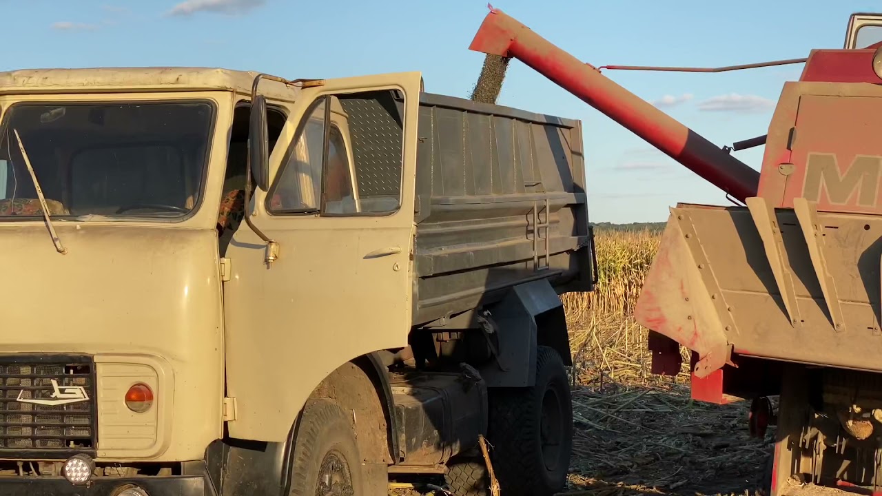 Молотимо соняшник НЕОМА від Syngenta.Врожайність - 34ц/га.Плуг від «Велес-Агро».