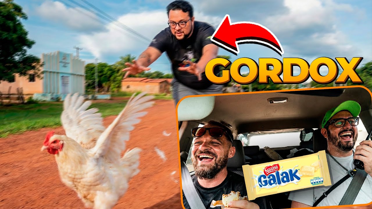 O GORDOX PERDEU A CABEÇA! KKKKKK TROCOU UM GALO POR UM GALAK!