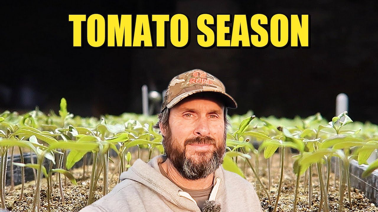 Our 2026 Tomato Season Begins Now!