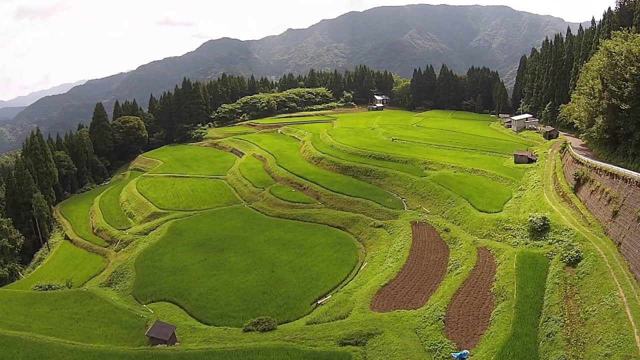 Japanese village Terraced rice paddy landscapes  Uheyama Tanada　うへ山の棚田
