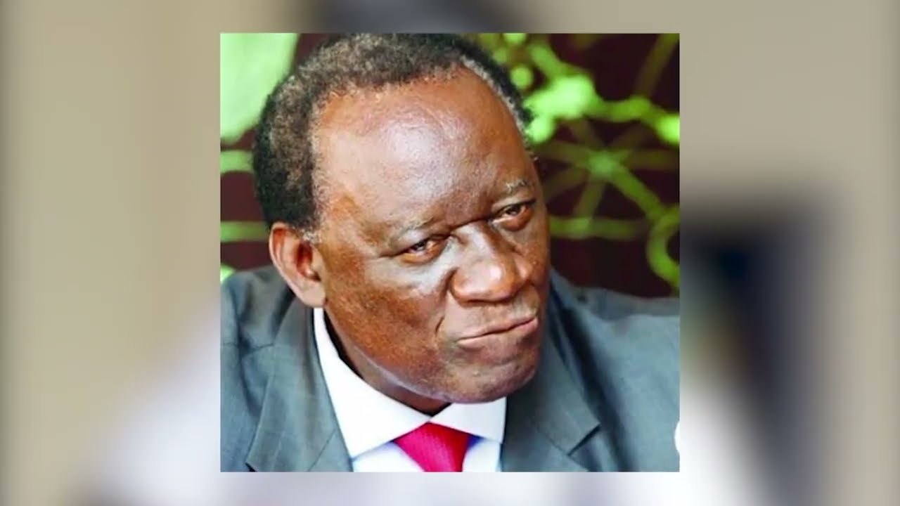 SHIKAPWASHA’S WIFE CLAIMS SHE ONLY SAW HIM FALL – COURT HEARS