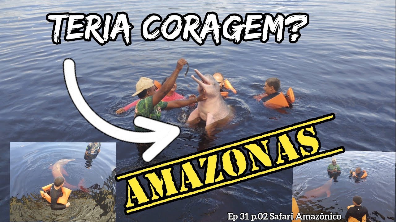 Você encararia? Eles são incríveis!  Safari Amazônico - Ep. 31 p.2 #Amazonas #rionegro #manaus