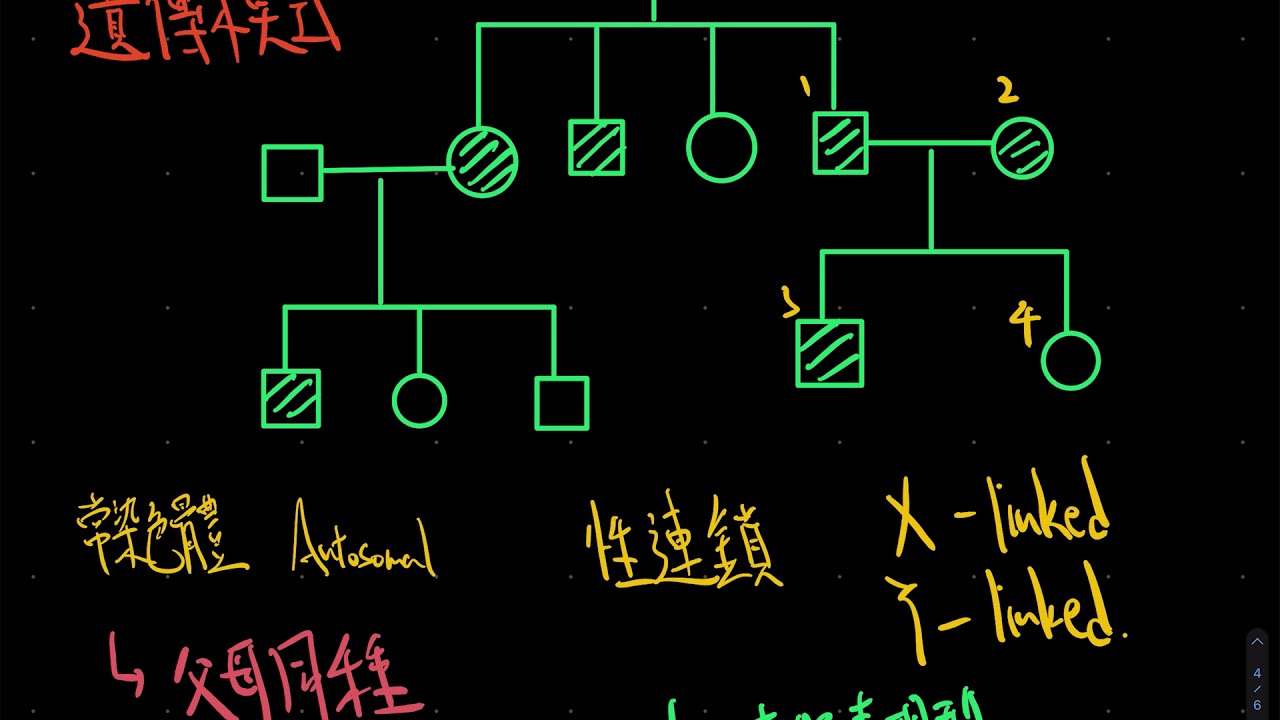 HKDSE BIO Pedigree 族譜 長題目滿分攻略 Part 1！