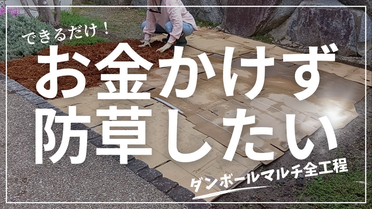 ムサシ除草バイブレーターを使った除草方法とダンボールマルチのやり方全工程
