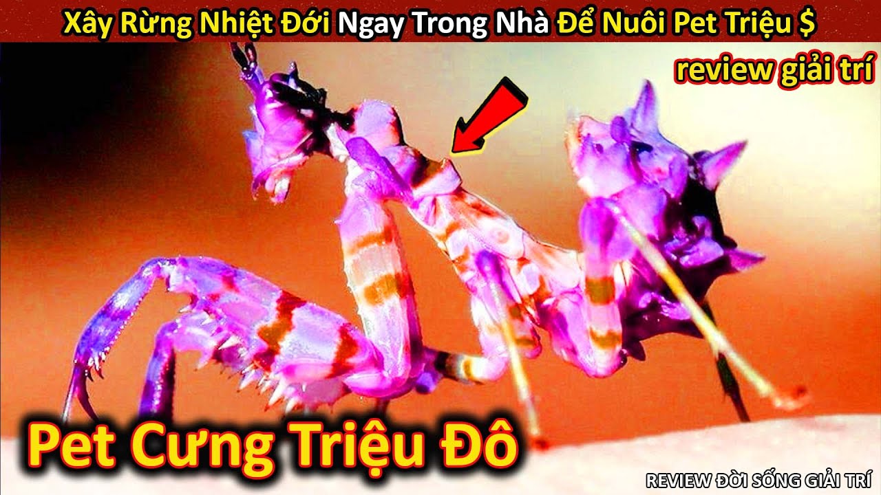 Nom Nom Review Khám Phá Sinh Vật Triệu Đô Đẹp Siêu Thực Giới Siêu  Giàu || Review Giải Trí Đời Sống