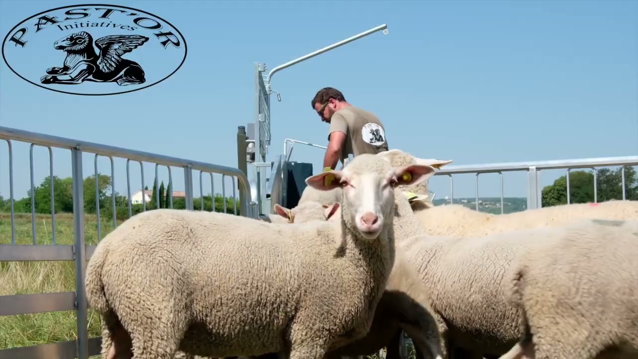 Stop-ovin Moove