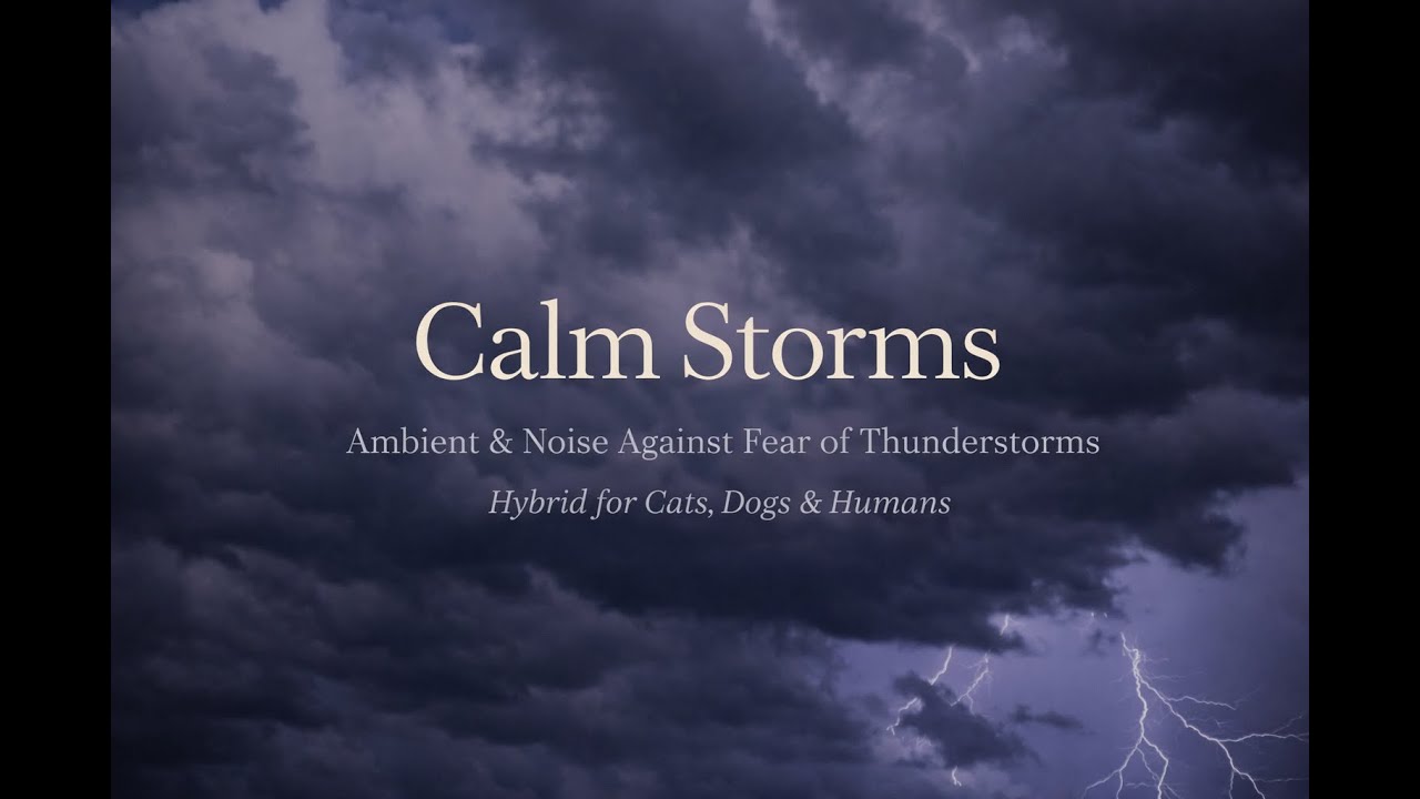 Calm Storms – Ambient & Noise Against Fear of Thunderstorms (1:14:18)