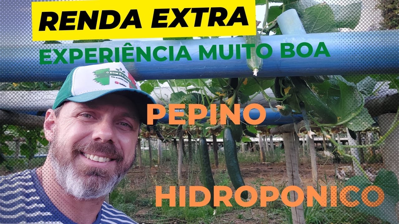 Pepino Hidropônico #hidroponia #pepino #horta