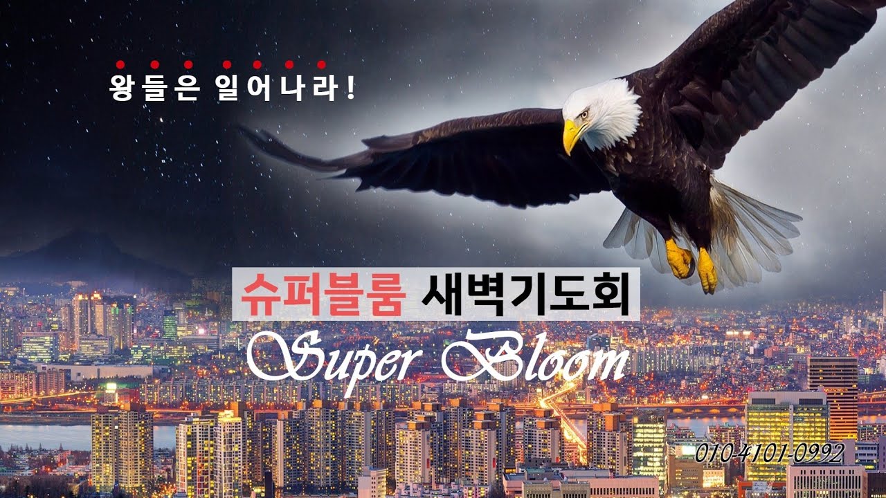 3/9  나는 하나님의 형상이다 최성효 선교사