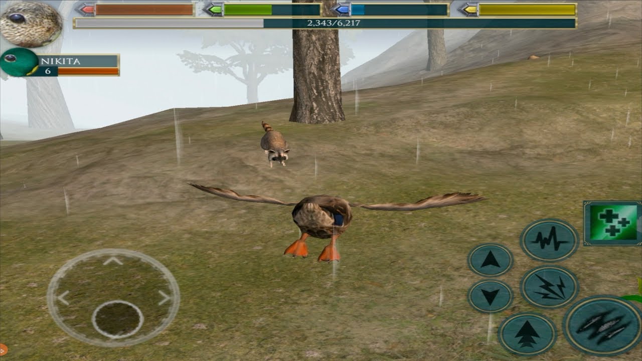 🦆Furious Duck VS🦝 Angry Raccoon Boss, Ultimate Bird Simulator