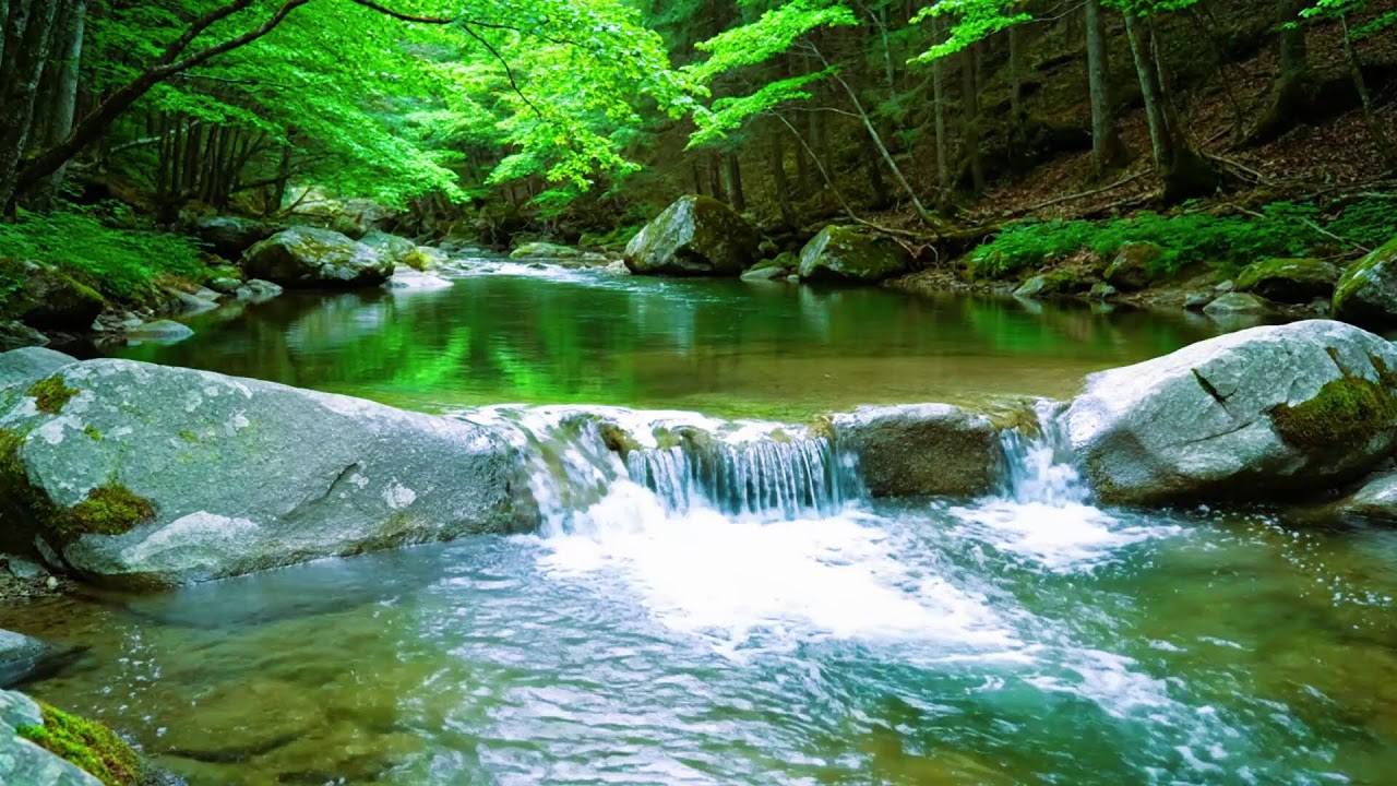 8 Hours Of Relaxing Nature Sounds And Gentle Birdsong For Deep Sleep