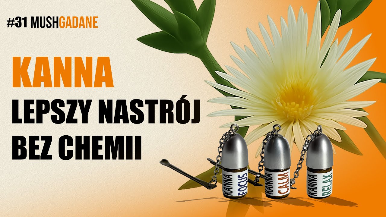 31# - 𝗞𝗔𝗡𝗡𝗔 – legalna alternatywa dla psychotropów? Roślinne MDMA?