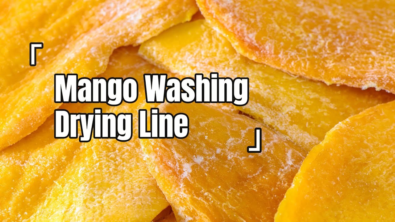 How MANGOES Become IRRESISTIBLE Dried Snacks? Factory Tour!