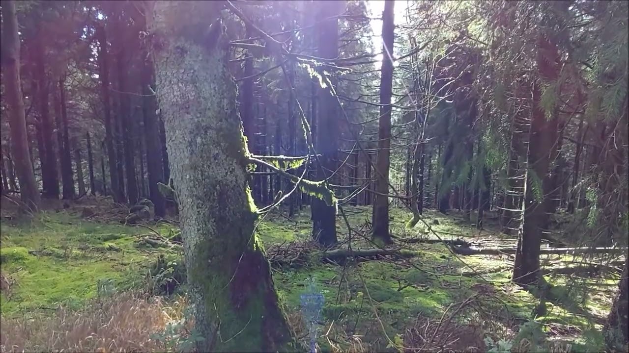 Ein Herbsttag im Thüringer Wald 