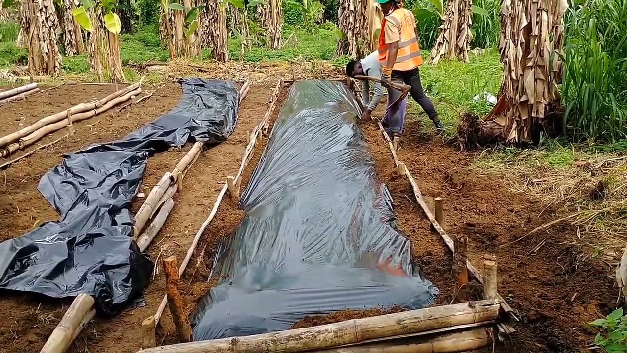 La plasticulture en quelques minutes