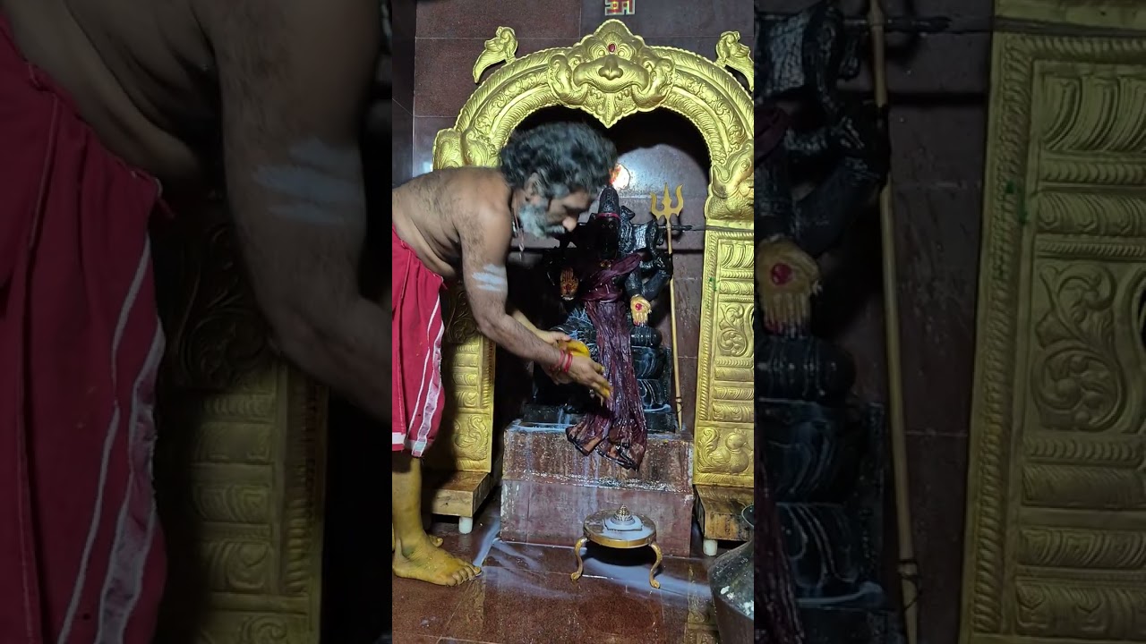 శ్రీ సుబ్రమణ్య,శ్రీ జ్ఞానాంబిక గార్లకు అభిషేకాలు,#ytshorts #lordshiva #trending #శ్రీకాళహస్తి,#ఓం