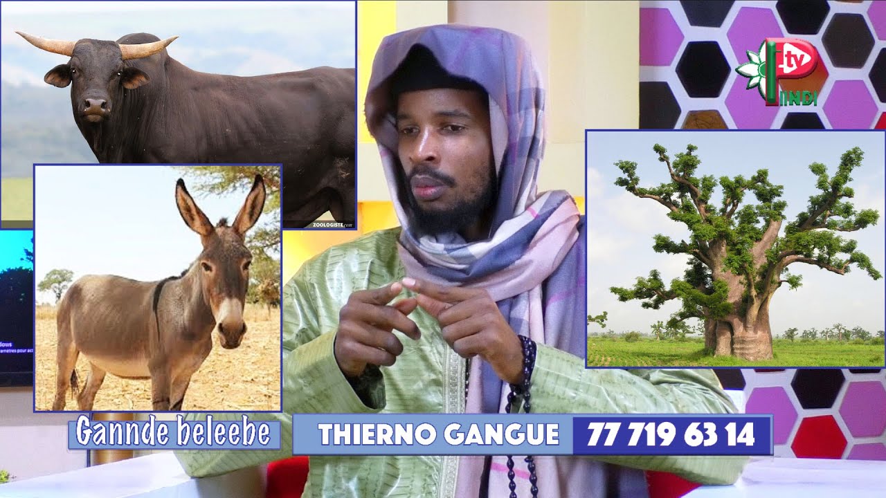 GANNDE BALEEBE Thierno Ousmane GANGUE