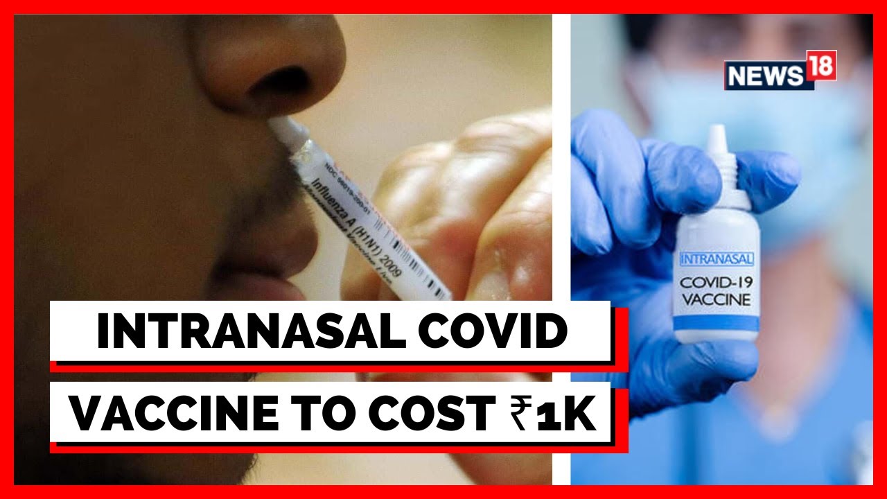 Covid News Today | Bharat Biotech&rsquo;s Intranasal COVID-19 Vaccine Will Cost Rs 800+ GST | English News