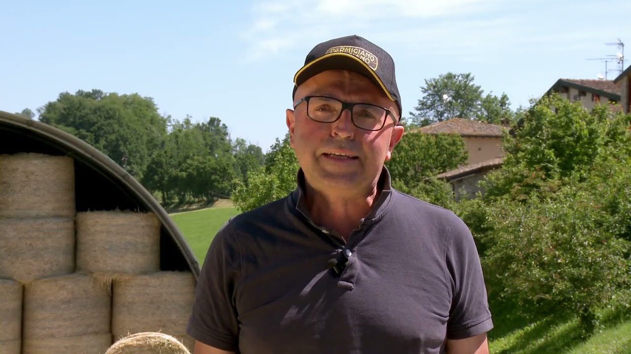 All'origine del Parmigiano Reggiano: Società Agricola Sillari