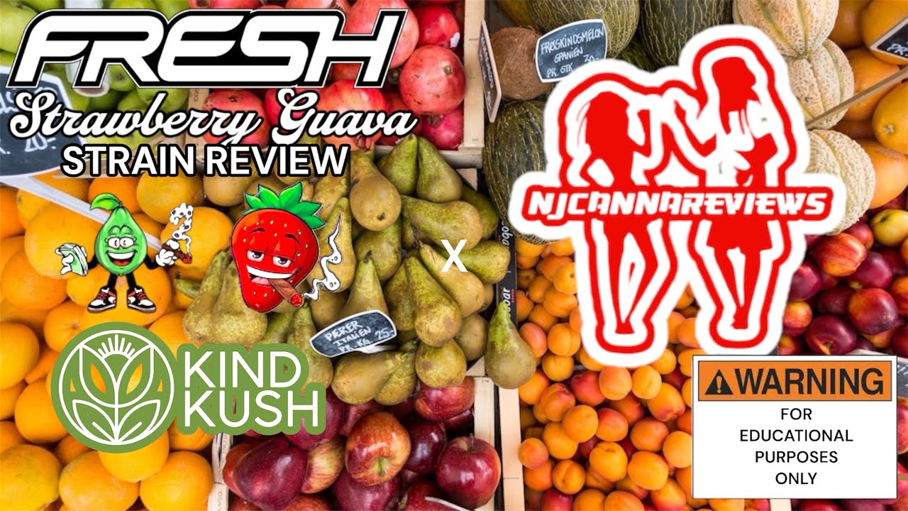 &ldquo;Strawberry guava&rdquo; by @freshcoblvd Btyb @kindkushnj_ Strain Review FOR EDUCATIONAL PURPOSES ONLY!