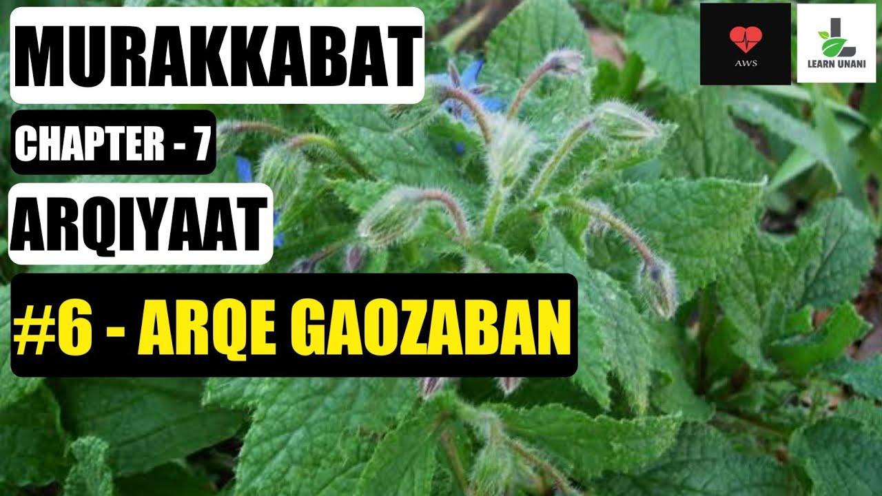 ARQE GAUZABAN | MURAKKABAT | Chapter - 7 | ARQIYAAT | BUMS 3rd Prof. | Preparation | Uses.