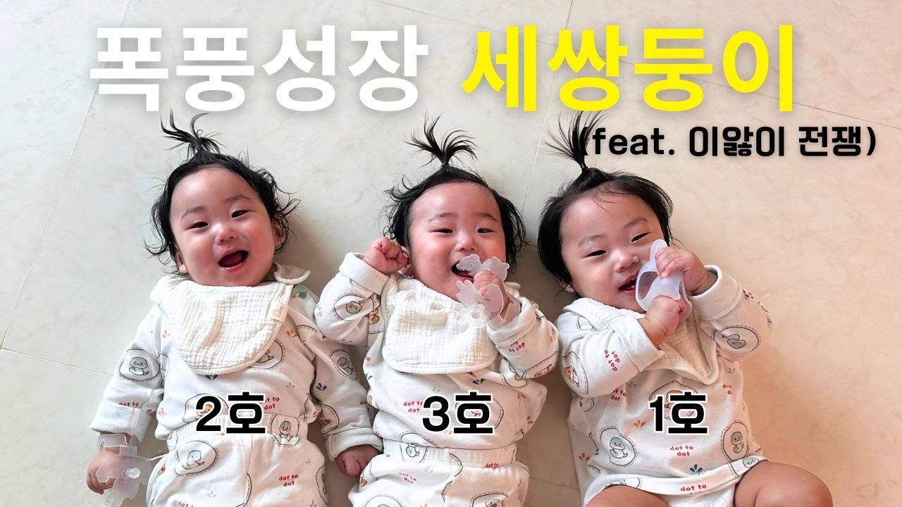 이앓이.. 도대체 언제 끝나요??? 매일 밤 지새우는 삼둥이 육아