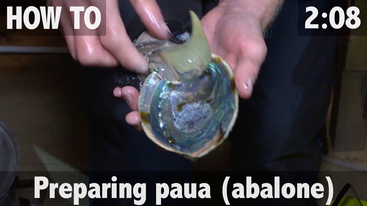 How to Prepare Paua (Abalome)