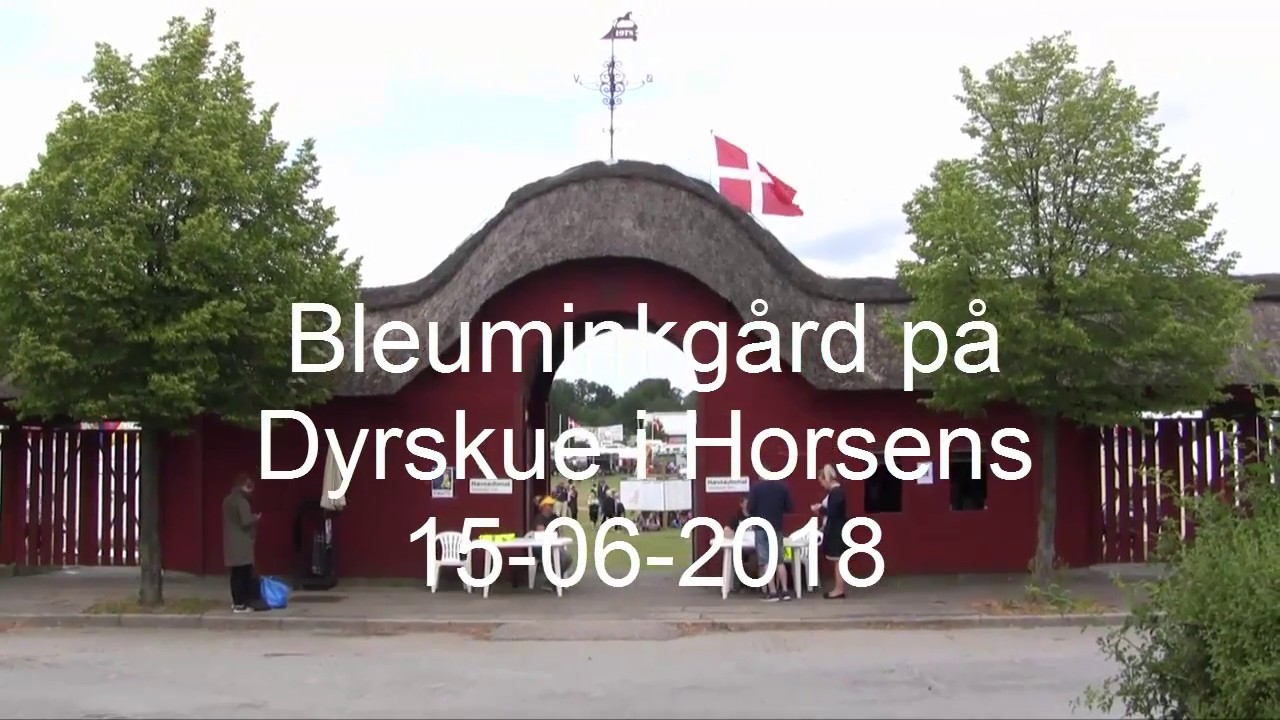 Bleuminkgård på dyrskue i Horsens 15 06 2018