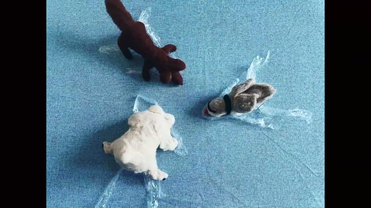 Cuchulain - Flip Turns [Official Music Video]
