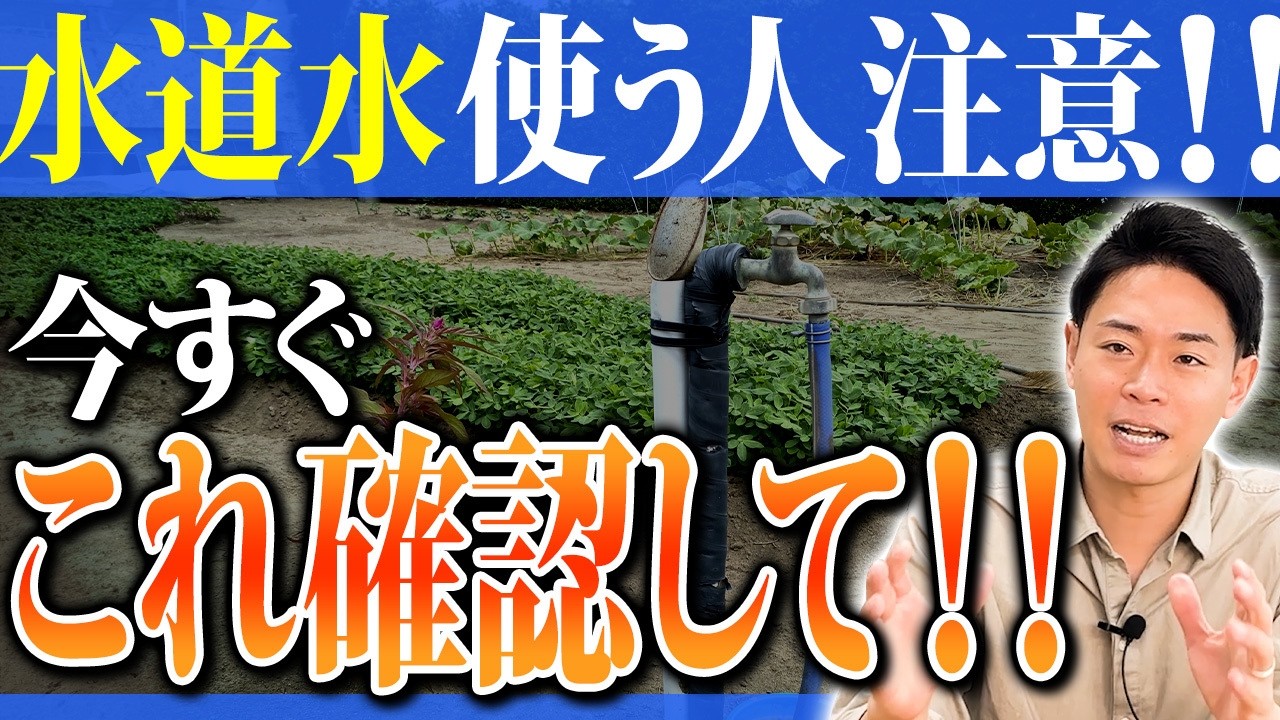 意外とやってるNG行為！「良いって聞いたからやっておこう」これ、よくある失敗です【家庭菜園 土づくり ガーデニング 土壌改良】