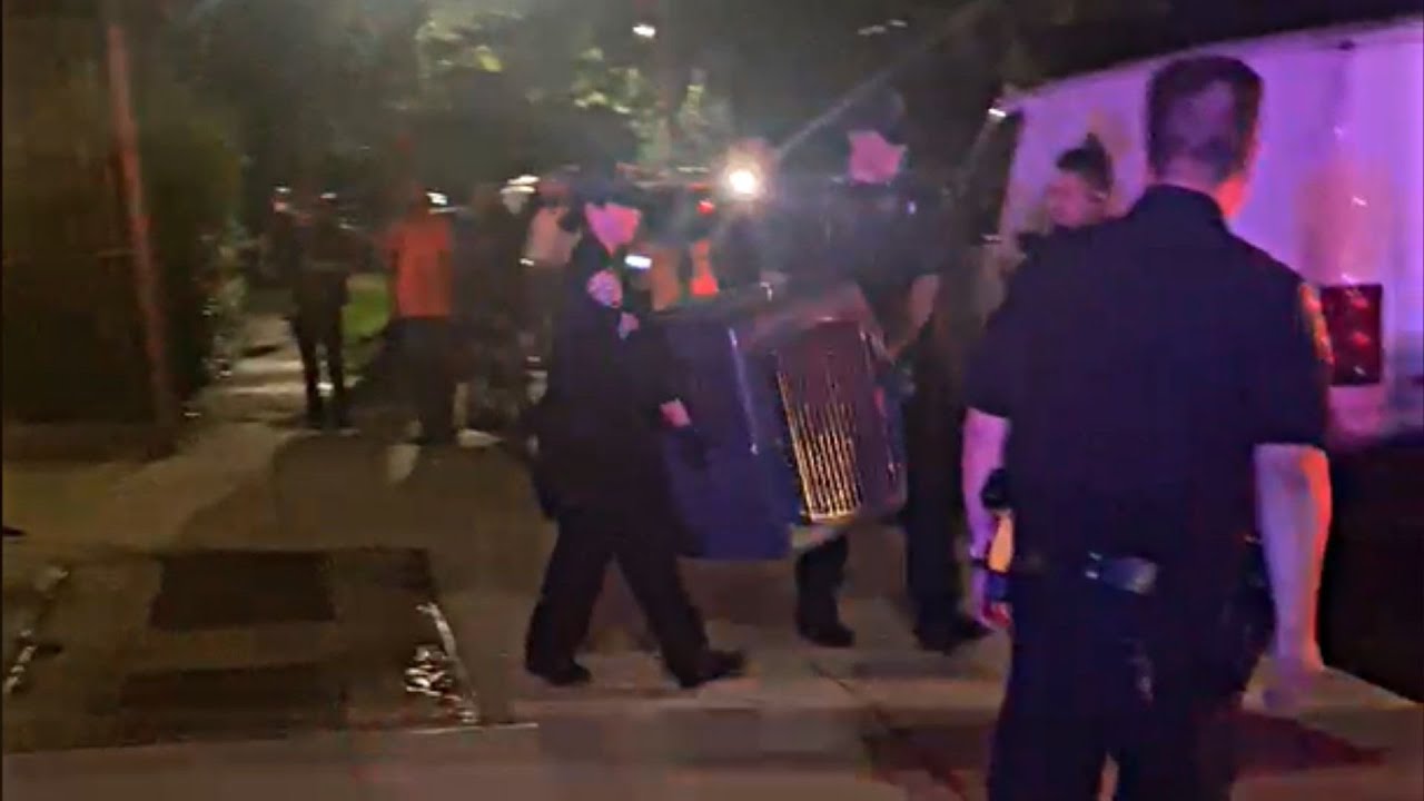 Toddler mauled to death by family dog in Brooklyn