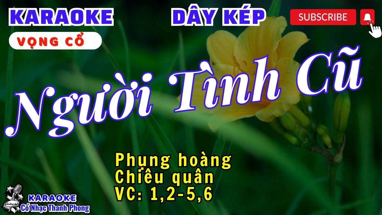 Karaoke Vọng cổ | NGƯỜI TÌNH CŨ | Dây Kép | Mới 2024
