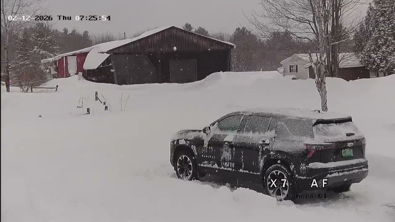 Buried in snow
