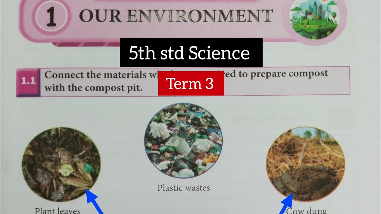 EE 5th std Science Term 3 unit 1 workbook answers/ unit 1 Our environment workbook answers 2025-2026