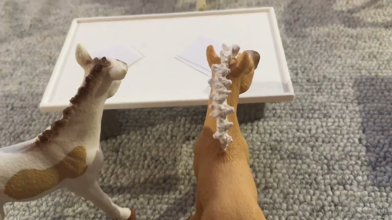 Die Fohlenschule Folge 1 Die Hochn&auml;sigen HILFE / Schleich